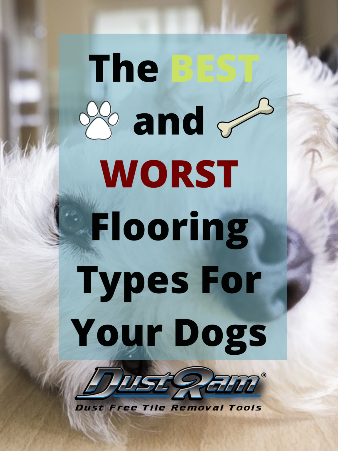 The BEST and WORST Flooring Types for Dogs DustRam®