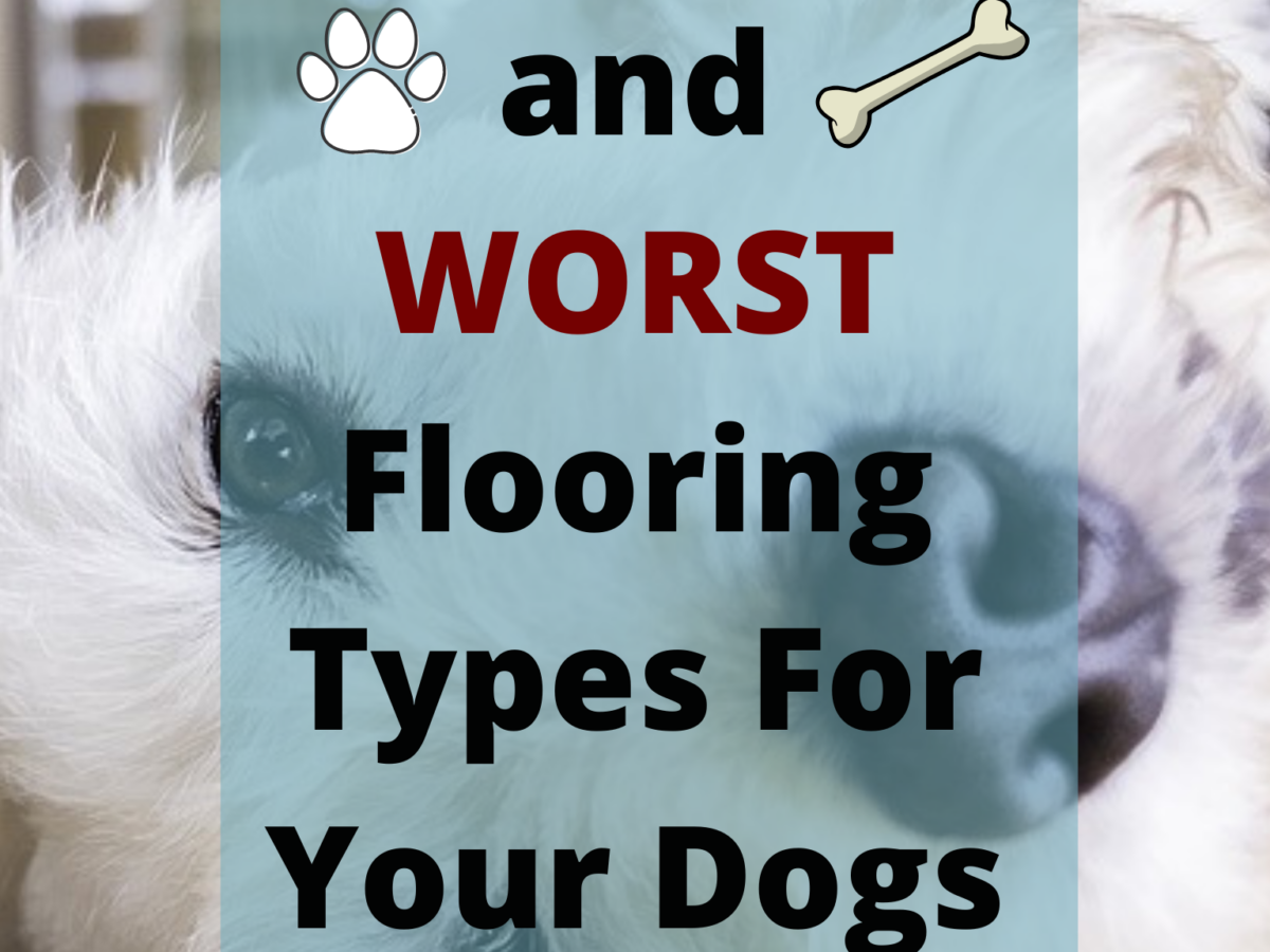 What Is The Best Flooring For Dogs