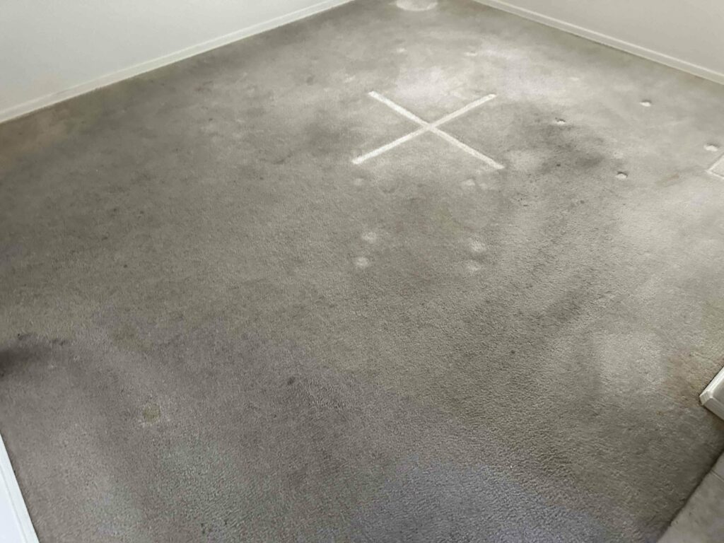 room with carpet in tact before removal
