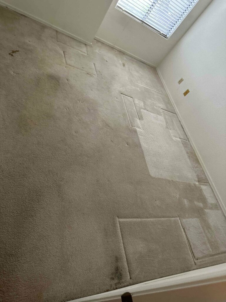 carpet before removal