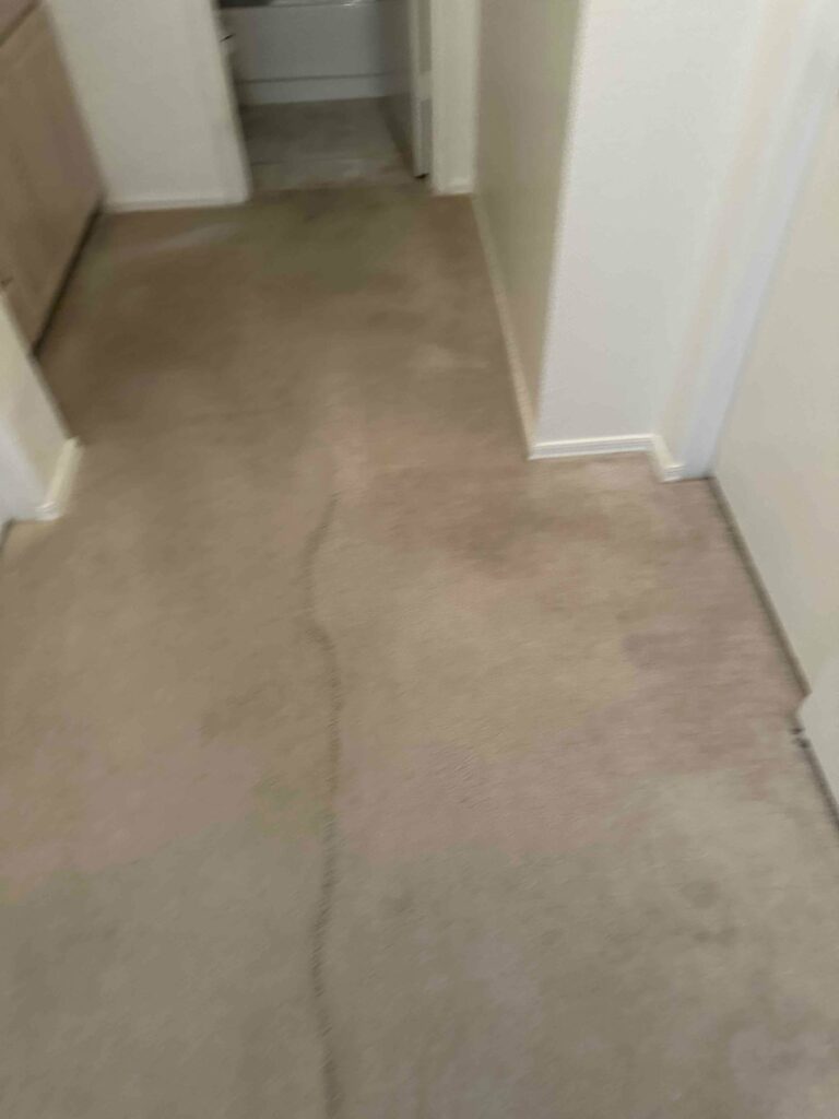 house with carpet