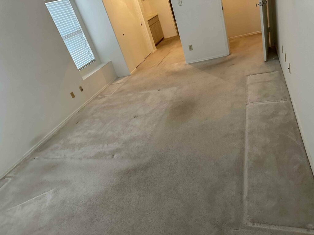 room with full carpet prior to getting it removed